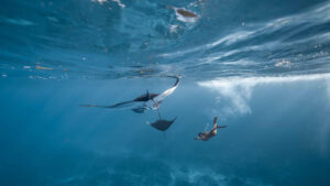 14. MANTA POINT 📍 Kabupaten Klungkung, Nusa Penida2-1600x900