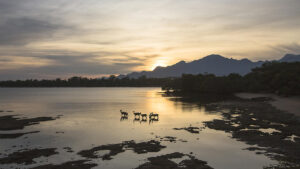 16. 🌿 Prapat Agung Peninsula 📍 Kabupaten Buleleng 3-1600x900