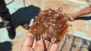 18. 🦪 Atlas Pearl Farm 📍 Kabupaten Buleleng 2-1600x900