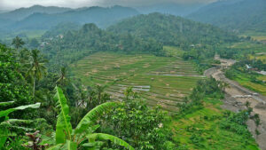 19. 🌾 Seririt Area 📍 Kabupaten Buleleng 1-1600x900