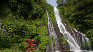 banyumala1