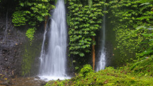 banyumala3
