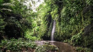 cepung_0003_cepung2